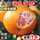 正宗临海涌泉蜜桔新鲜水果橘子10斤一整箱蜜橘当季 官方旗舰店黄岩
