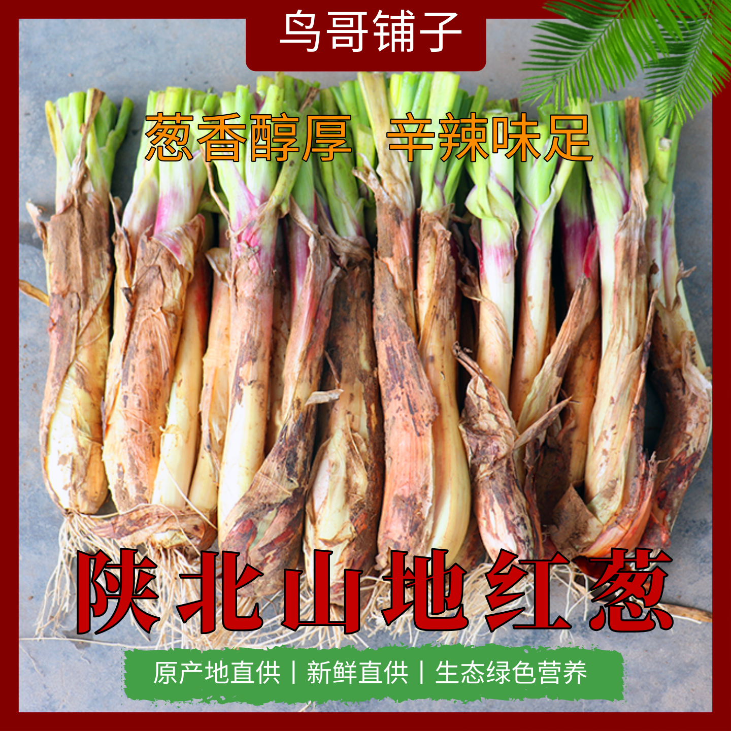 陕北山地红葱新鲜家常红葱农家自种葱香浓郁炒菜炖肉提香净重包邮