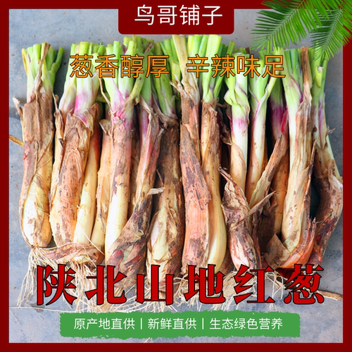 陕北山地红葱新鲜家常红葱农家自种葱香浓郁炒菜炖肉提香净重包邮 - 封面
