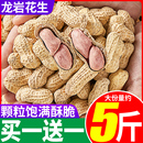 比比赞龙岩花生蒜香五香水煮味花生米带壳休闲食品福建小零食炒货