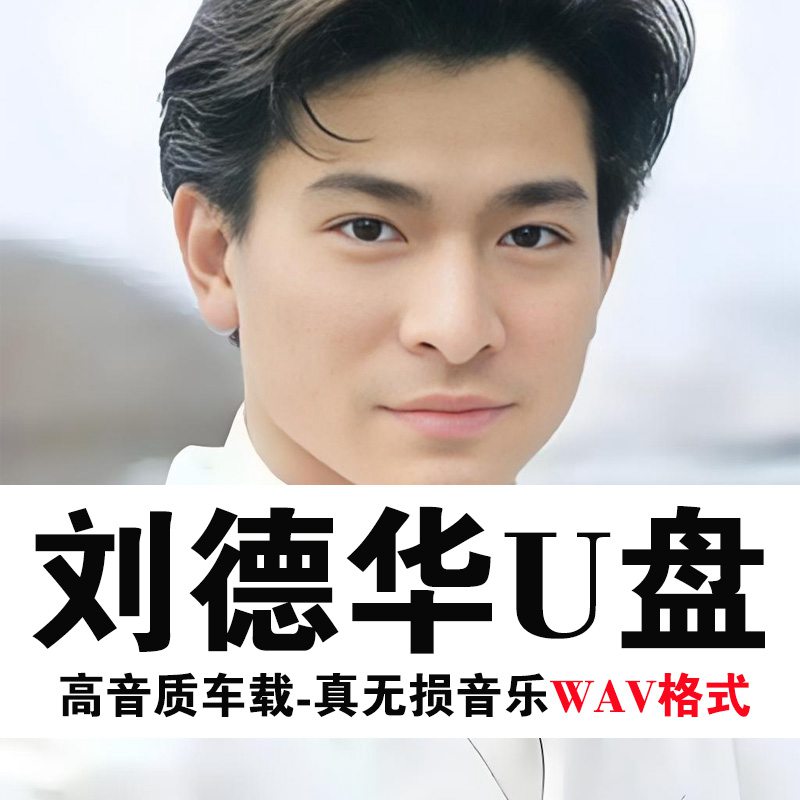 刘德华歌曲U盘音乐大全专辑WAV高音质经典车载车用通用优盘流行