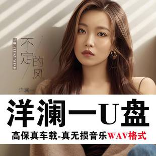 WAV真无损音质洋澜一U盘专辑音乐歌曲高品质优盘USB流行精选合集
