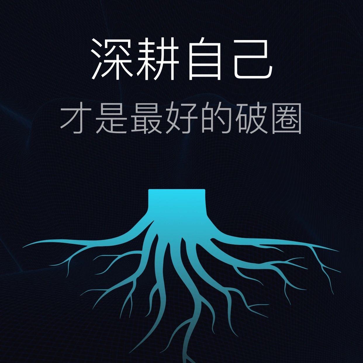 深耕自己 人生计划思维破圈突破瓶颈打破困境专注细分赛道领域