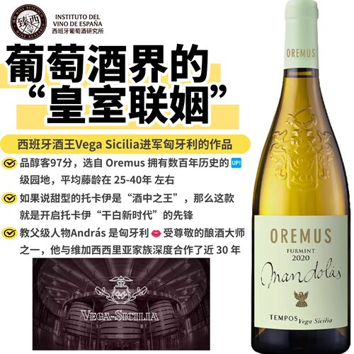 西班牙酒王进军匈牙利的作品