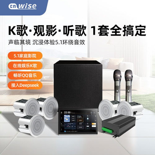 华尔思5.1杜比DTS全景套装