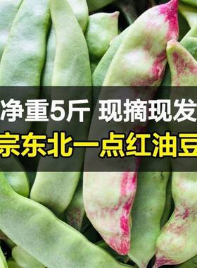 一点红油豆角东北油豆角新鲜蔬菜包邮海南内蒙整箱5斤