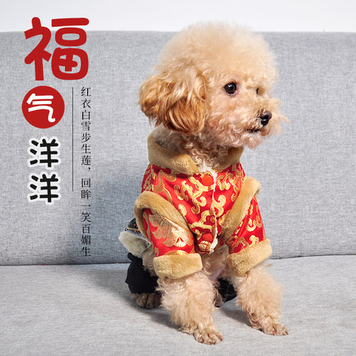 新春过年衣服唐装加厚过年衣服