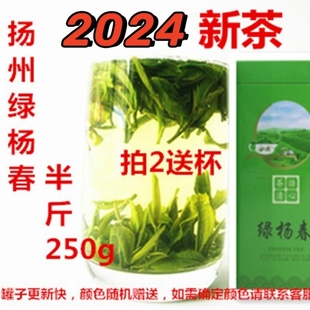 绿杨春 仪征捺山绿阳春 扬州特产绿扬春茶叶250g 2024新茶