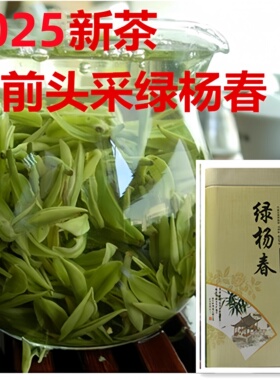2025新茶 明前 绿杨春头采一芽一叶 捺山绿茶礼 盒250g