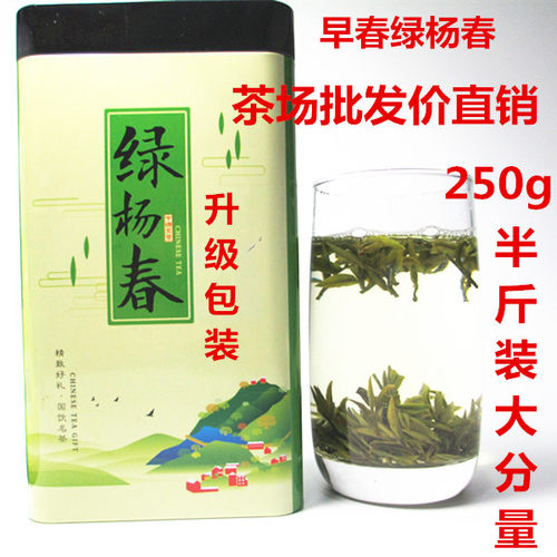 绿杨春新茶雨前绿阳扬春茶叶