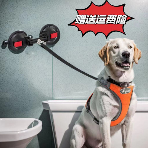 大狗狗固定神器栓狗吸盘