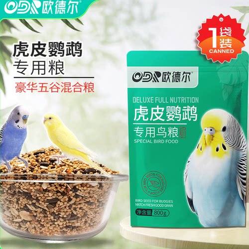 欧德尔虎皮鹦鹉鸟食带壳