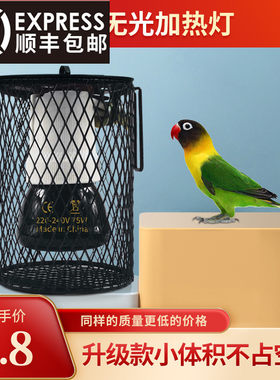 玄凤虎皮鹦鹉无光陶瓷保温灯