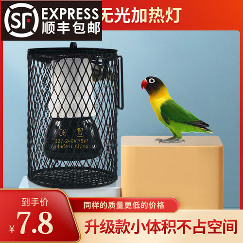 玄凤虎皮鹦鹉无光陶瓷保温灯