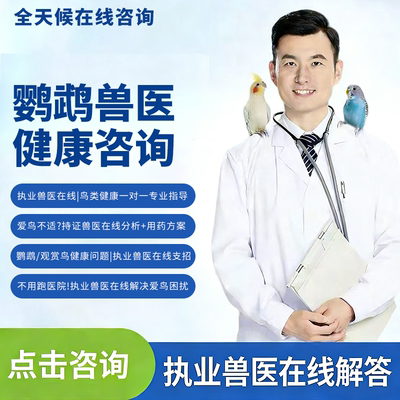 各种鸟类问诊医生资深专业经验会诊生病鹦鹉玄凤大夫在线咨询治疗