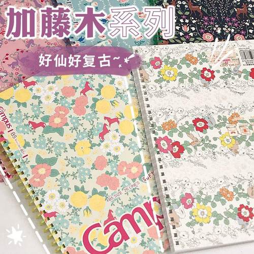 软线圈手绘B5笔记本水彩絮语A5