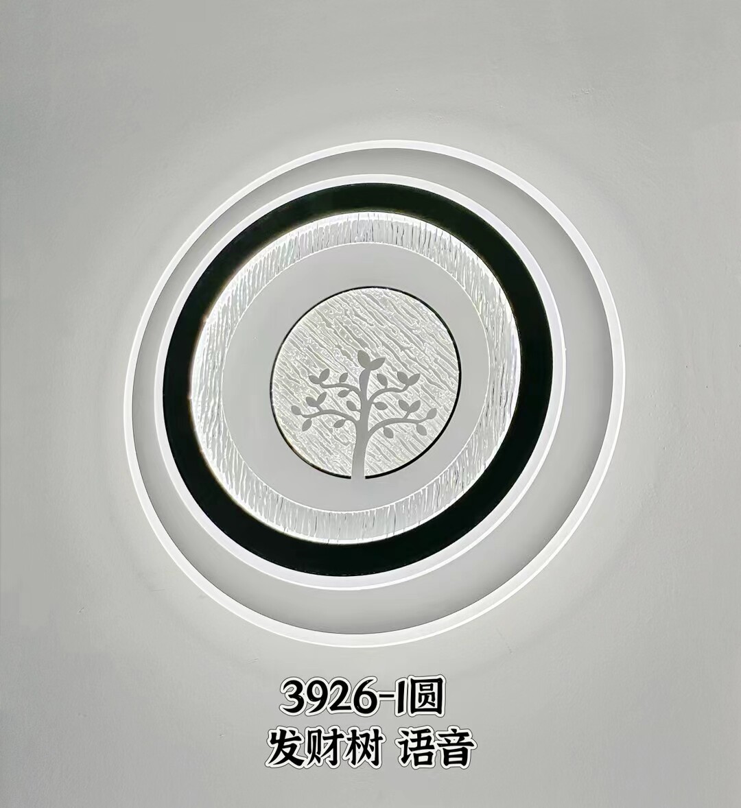 现代简约 全封闭防蚊虫离线语音吸顶灯