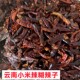 云南特产小米辣柴火胡辣椒面糊辣椒特辣火锅料朝天椒胡辣子小米椒
