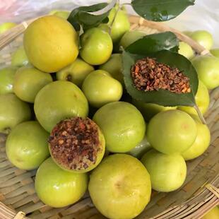 酸麻阔果嫁接小酸枣送辣椒面酸果孟定新鲜酸脆嫁接新鲜孕妇水果