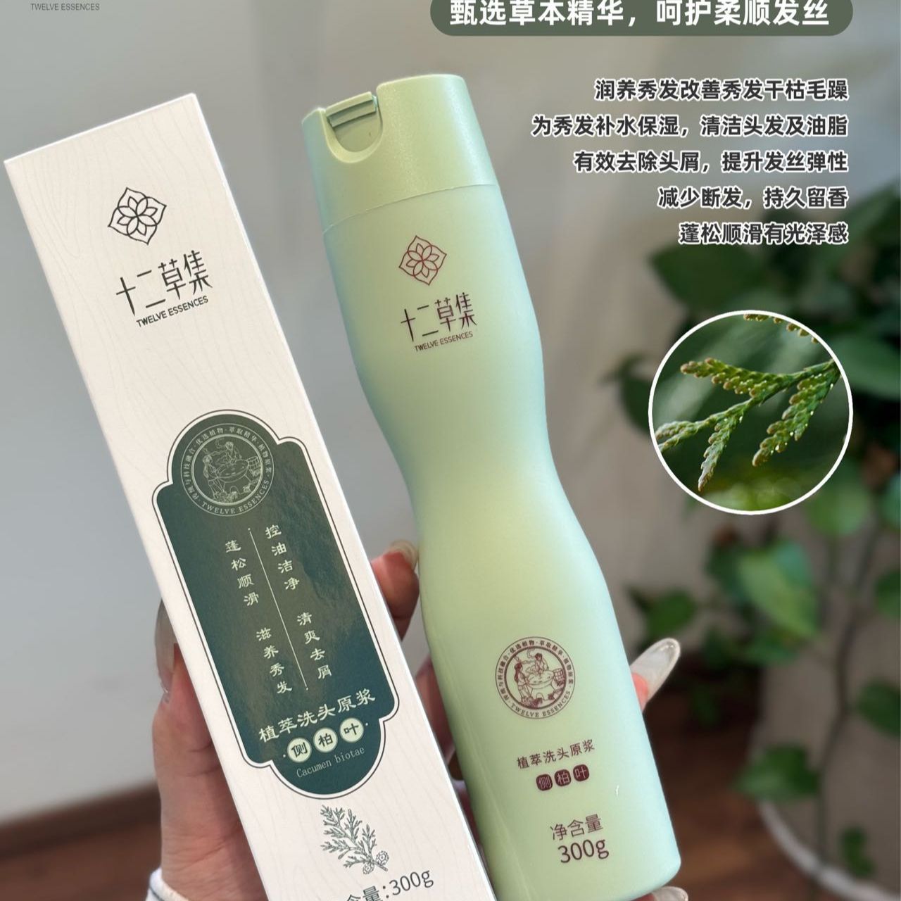 十二草集侧柏叶洗发水原浆草本植物洗头露防断发去屑止痒控油蓬松