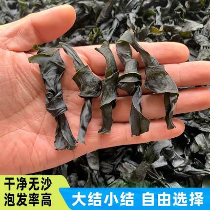 烘干海带结干货500g干货小结海带扣特级厚无沙麻辣烫火锅商用家用