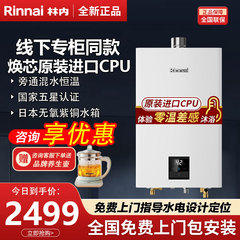 Rinnai/林内焕逸GD系列BP1/PB2/PB3/PB4恒温16升燃气热水器32GP