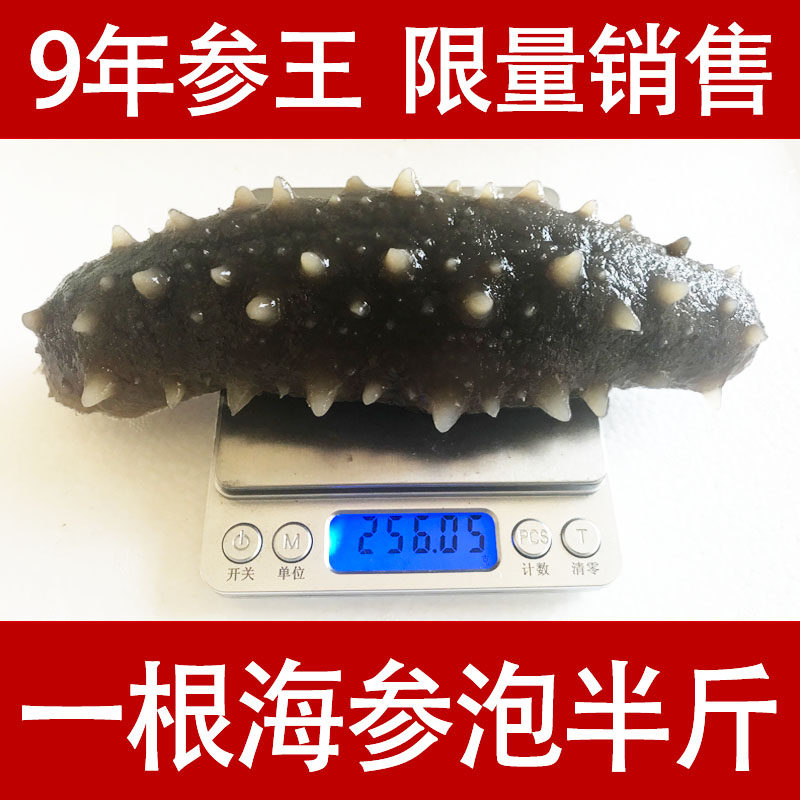 长岛纯野生海参干货参王500克30-40头海生淡干大海参超大特大刺参
