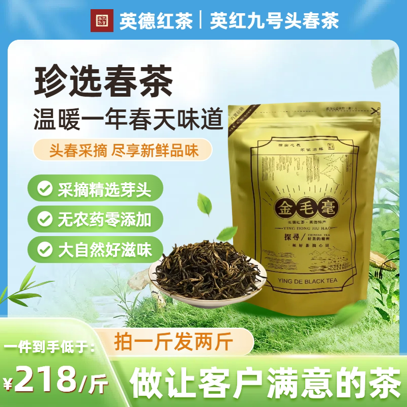 金毛毫英德红茶一斤袋装蜜香型