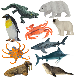 儿童仿真水域动物世界企鹅鳄鱼海狮认知启蒙科学教育玩具模型亲子