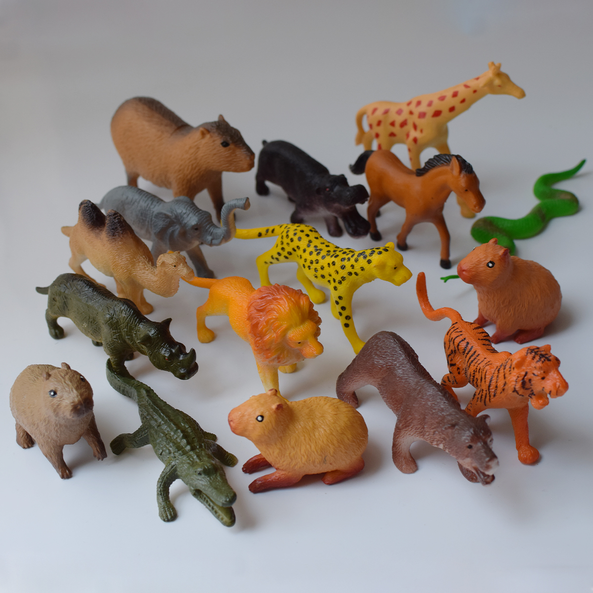 长颈鹿狮子卡皮巴拉老虎