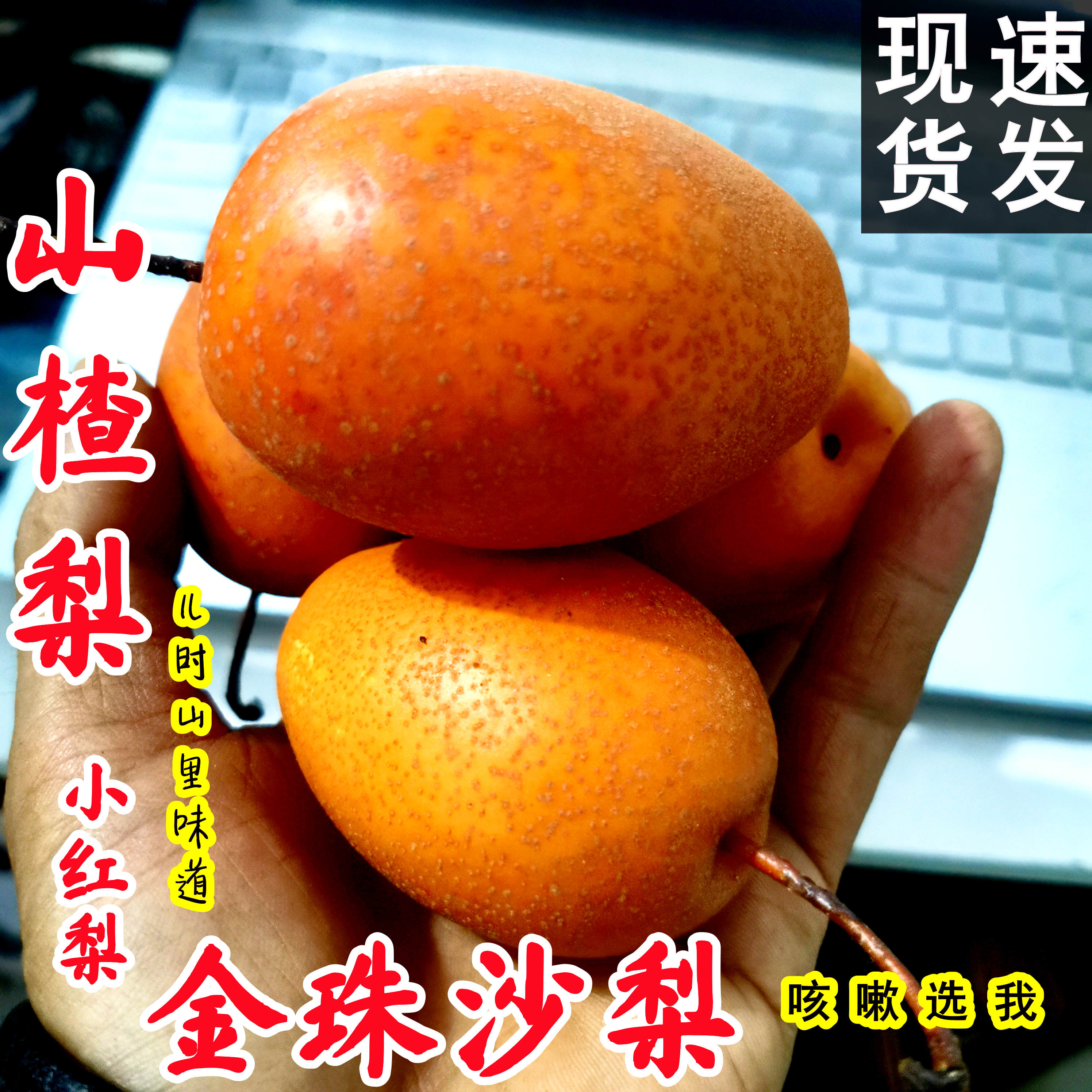 河南特产水果梨子新鲜山楂梨酸甜金珠沙梨果咳嗽煮水小红梨老糖梨