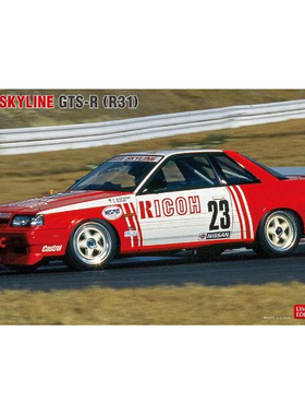 长谷川 20741 RICOH SKYLINE GTS-R (R31) *