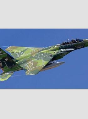 长谷川 02460  F-15D Eagle 