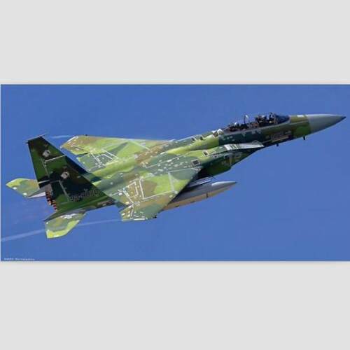 长谷川02460F-15DJ战斗机Green