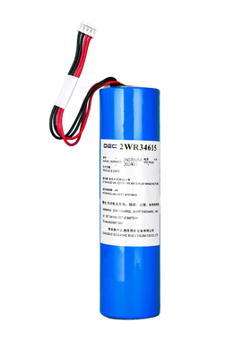 TBR-600雷达应答器电池2ER34615 NBB-441 JQX-30A SART带CCS证书