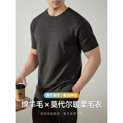 羊毛莫代尔老钱风针织衫短袖男