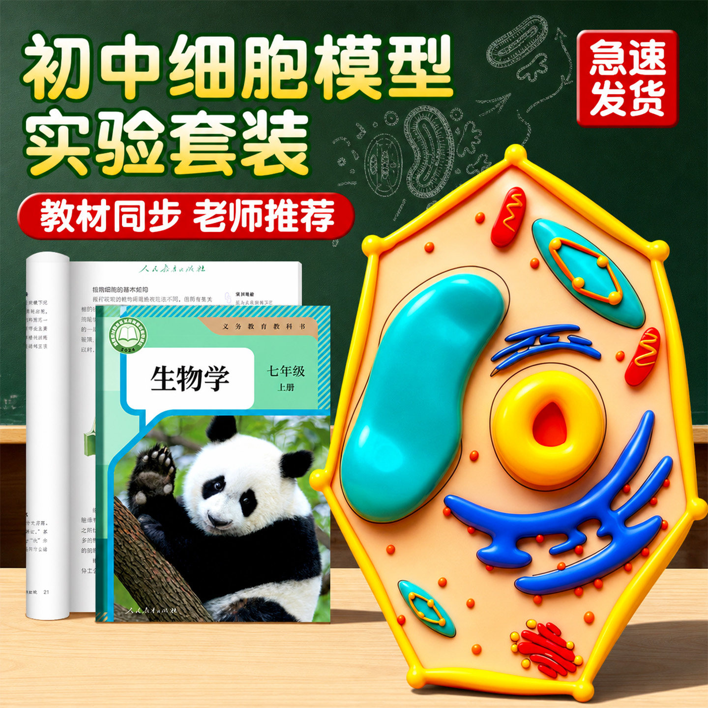 动植物细胞模型制作材料包七年级生物真核手工diy半成品结构科学3