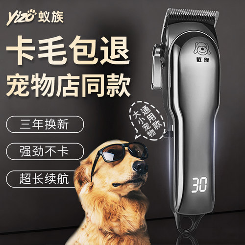 蚁族大功率宠物店专用剃毛器专业
