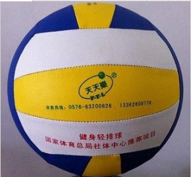 Ballon de volley-ball - Ref 2007913 Image 3