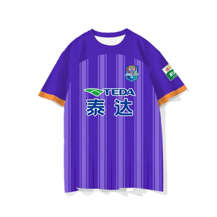 2024新款天津泰达津门虎队服足球衣服冰丝速干短袖t恤衫男女半袖