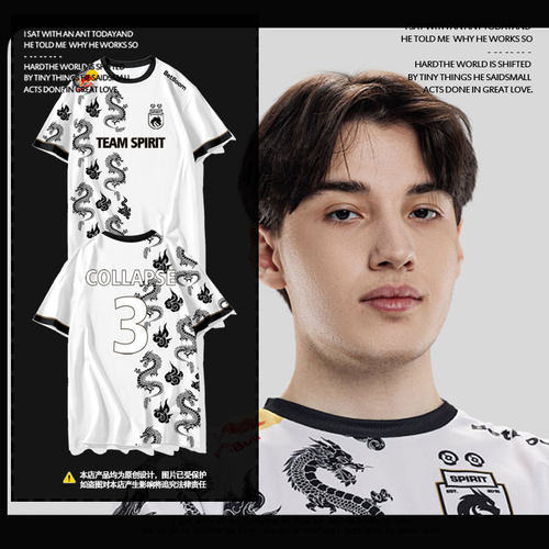 TeamSpirit战队队服速干t恤