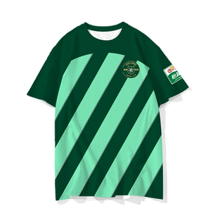 2024浙江职业足球俱乐部队服绿城速干短袖t恤衫男女冰丝球衣半袖