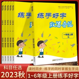 毛文凤 练手好字默写夺冠一二三四五六年级上册 语文人教版 RJ小学生写字课课练硬笔书法临摹本同步练习册楷书练字本教材同步字帖