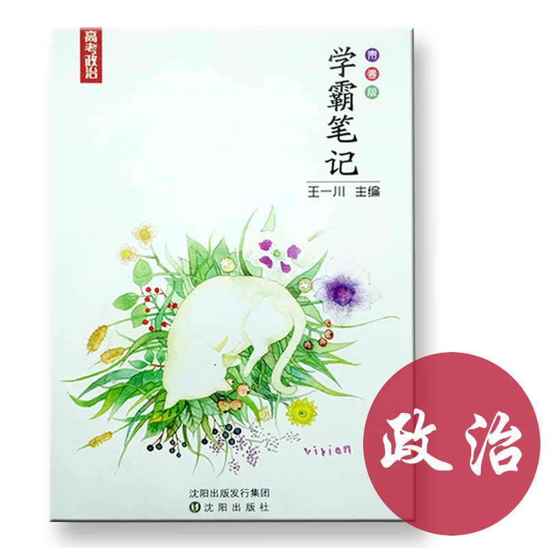 包邮 王一川 学霸笔记政治 语文 历史 地理 化学 高考状元手写笔记