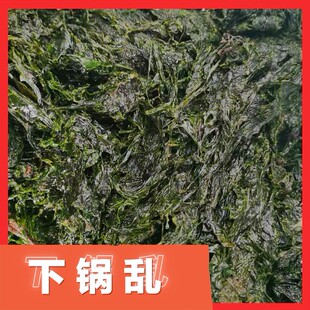 大连 新鲜冷冻下锅烂 嘎达汤菜 海菜 海藻菜  熬汤鲜溜