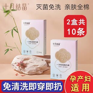 十月结晶一次性内裤XL码/XXXL码2盒共10条装产妇专用中高腰加大码