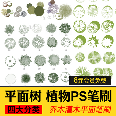 平面树植物ps笔刷小清新水彩树乔木灌木总平面图灰色彩平植物笔刷