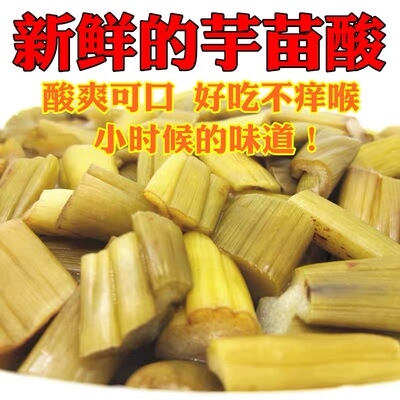 酸芋苗新鲜芋苗干梗泡菜广西农家自制芋苗酸辣芋杆腌制蔬菜下饭菜