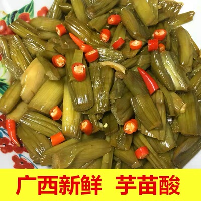 广西特产新鲜芋苗酸下饭菜