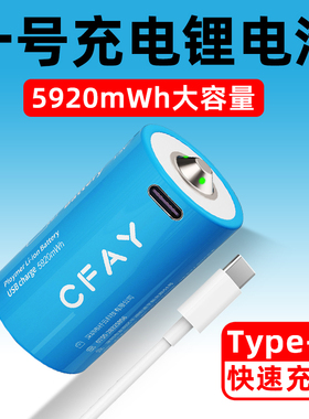CFAY 1号锂电池USB可充电电池D型燃气灶热水器一号1.5V大号车位锁